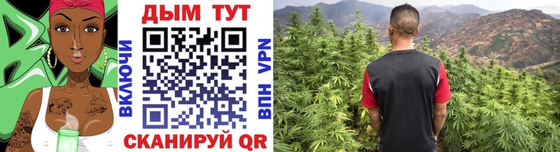 Купить наркотики цена Светлогорск АМФ  МЕФ  Гашиш  Бошки Шишки 