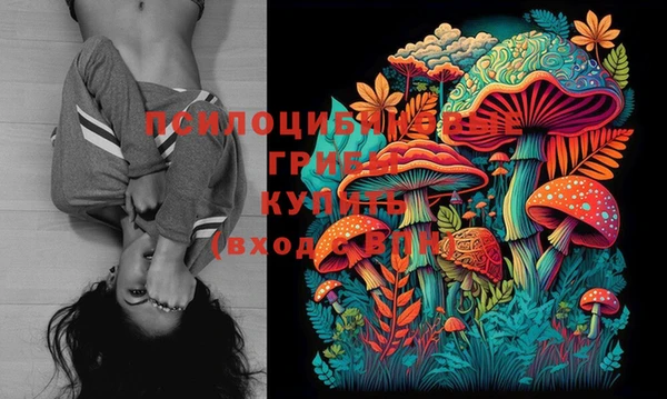 бутират Мегион