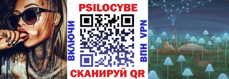 Галлюциногенные грибы Psilocybine cubensis  Светлогорск 